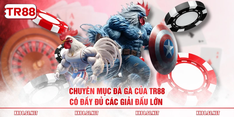 Chuyên mục đá gà của TR88 có đầy đủ các giải đấu lớn