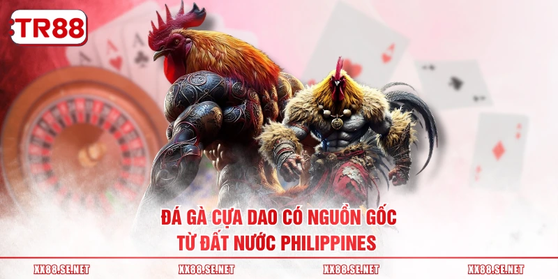 Đá gà cựa dao có nguồn gốc từ đất nước Philippines